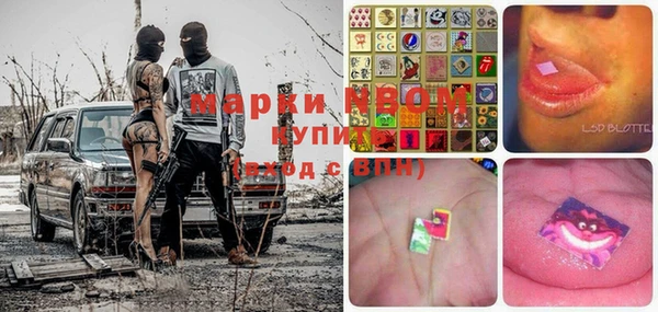 стафф Алзамай