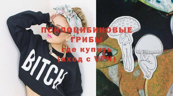 стафф Алзамай